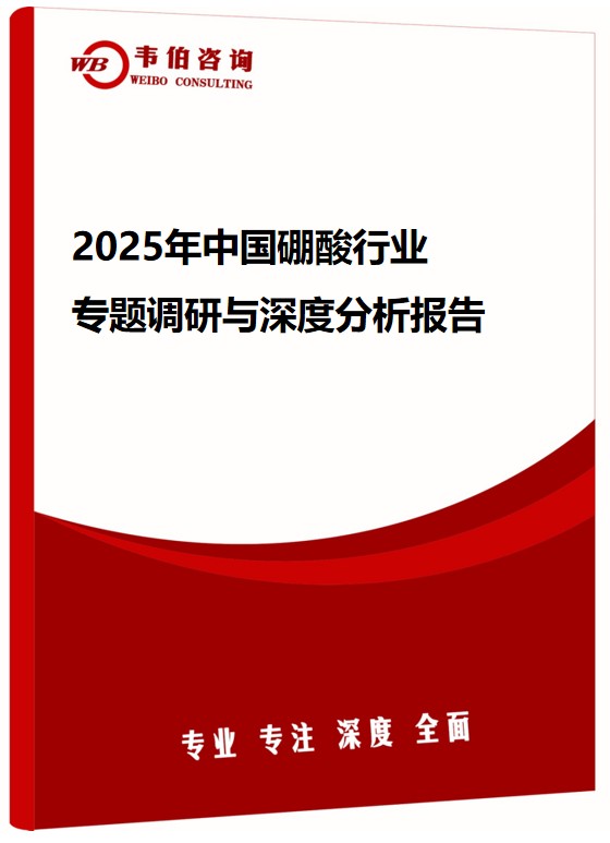 2025年中国硼酸行业专题调研与深度分析报告