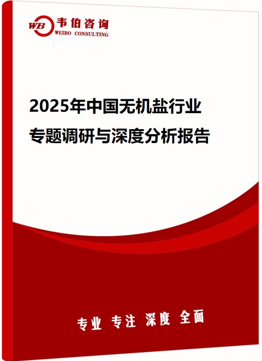 2025年中国无机盐行业专题调研与深度分析报告