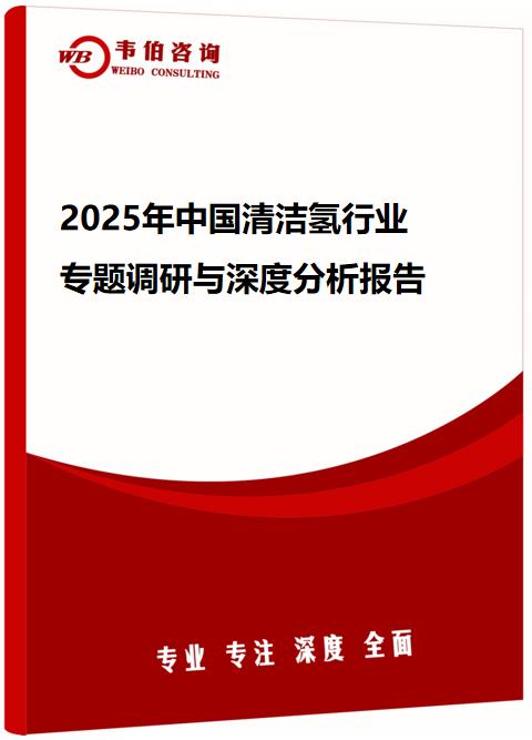2025年中国清洁氢行业专题调研与深度分析报告