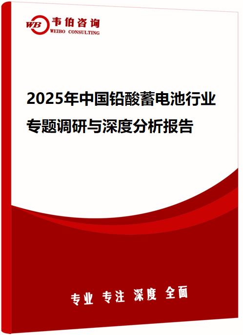 2025年中国铅酸蓄电池行业专题调研与深度分析报告