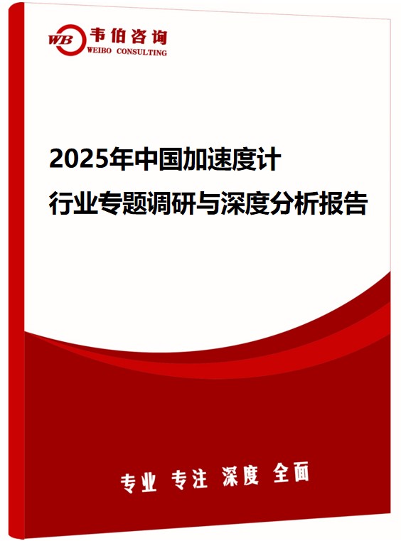 2025年中国加速度计行业专题调研与深度分析报告