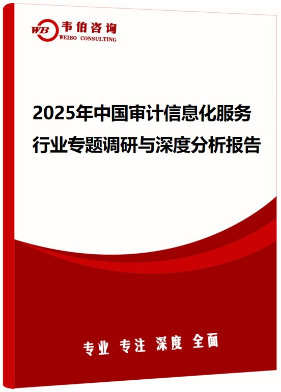 2025年中国审计信息化服务行业专题调研与深度分析报告