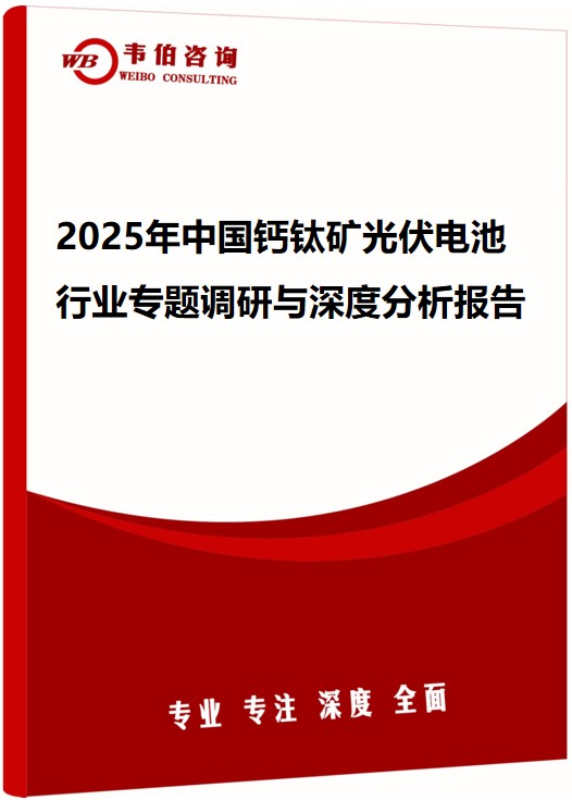 2025年中国钙钛矿光伏电池行业专题调研与深度分析报告