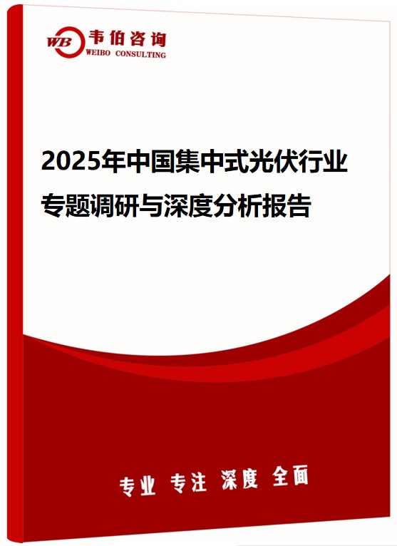 2025年中国集中式光伏行业专题调研与深度分析报告