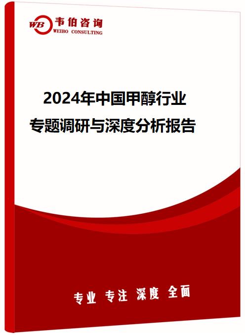 2024年中国甲醇行业专题调研与深度分析报告