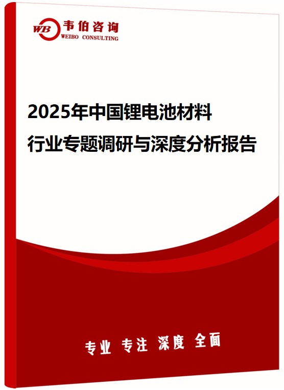 2025年中国锂电池材料行业专题调研与深度分析报告
