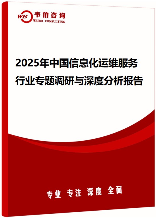 2025年中国信息化运维服务行业专题调研与深度分析报告