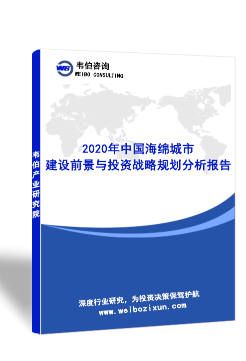 2020年中国海绵城市建设前景与投资战略规划分析报告