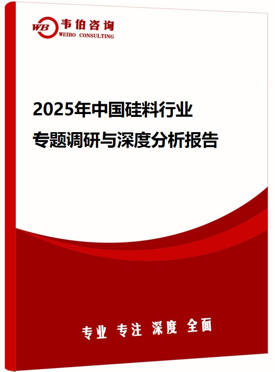 2025年中国硅料行业专题调研与深度分析报告