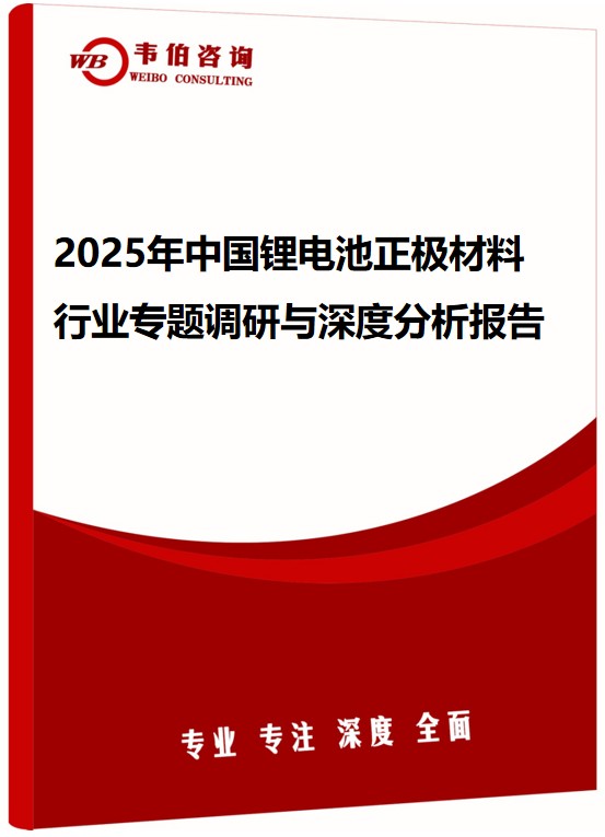 2025年中国锂电池正极材料行业专题调研与深度分析报告