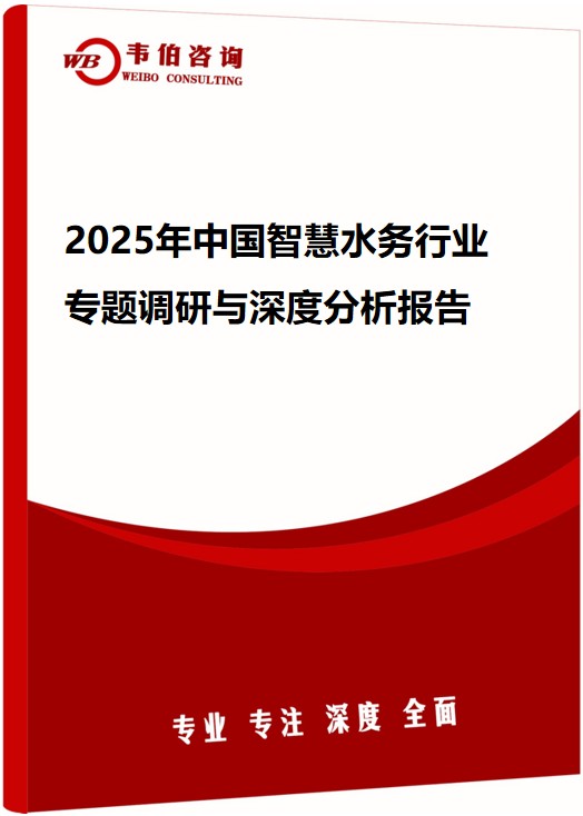 2025年中国智慧水务行业专题调研与深度分析报告
