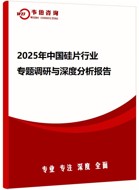 2025年中国硅片行业专题调研与深度分析报告