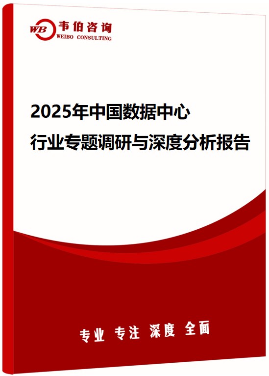 2025年中国数据中心行业专题调研与深度分析报告