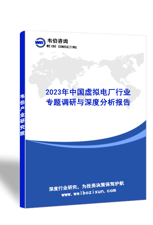 2023年中国虚拟电厂行业专题调研与深度分析报告