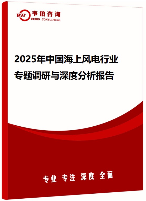 2025年中国海上风电行业专题调研与深度分析报告