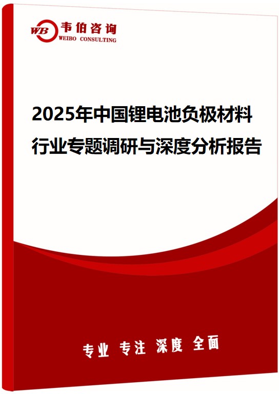 2025年中国锂电池负极材料行业专题调研与深度分析报告