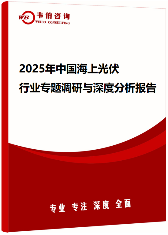 2025年中国海上光伏行业专题调研与深度分析报告