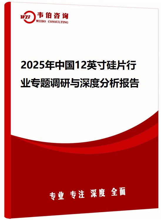 2025年中国12英寸硅片行业专题调研与深度分析报告