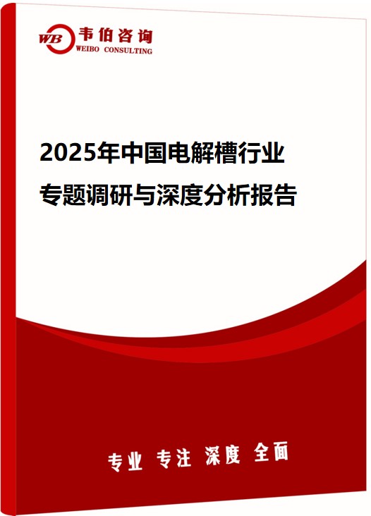 2025年中国电解槽行业专题调研与深度分析报告