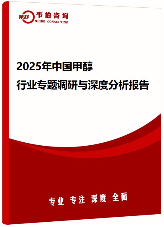 2025年中国甲醇行业专题调研与深度分析报告