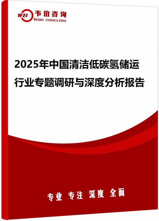 2025年中国清洁低碳氢储运行业专题调研与深度分析报告