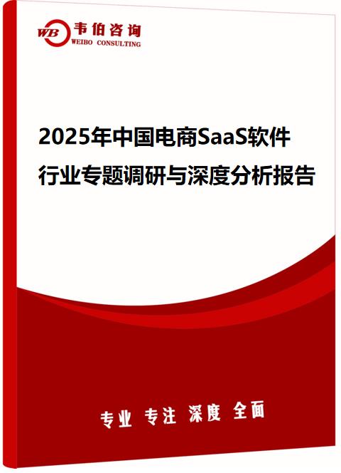 2025年中国电商SaaS软件行业专题调研与深度分析报告