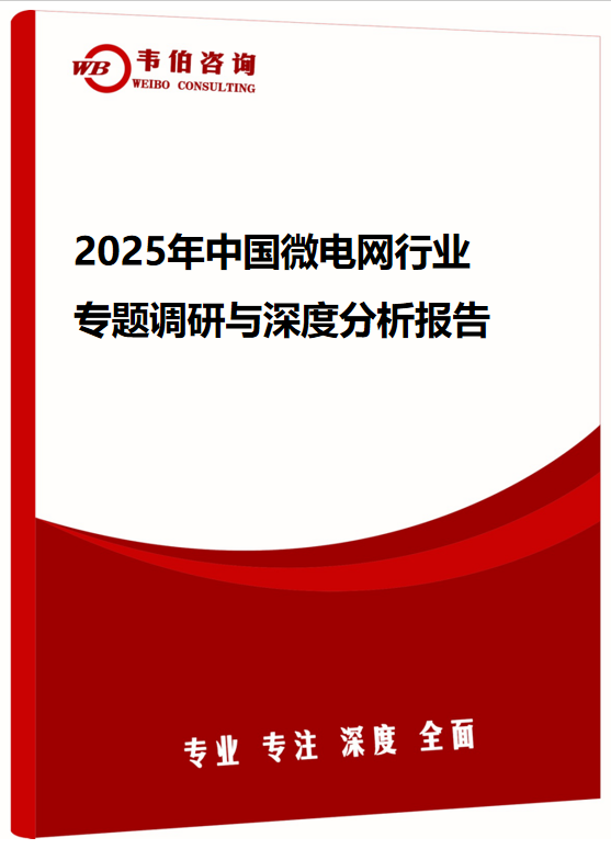 2025年中国微电网行业专题调研与深度分析报告