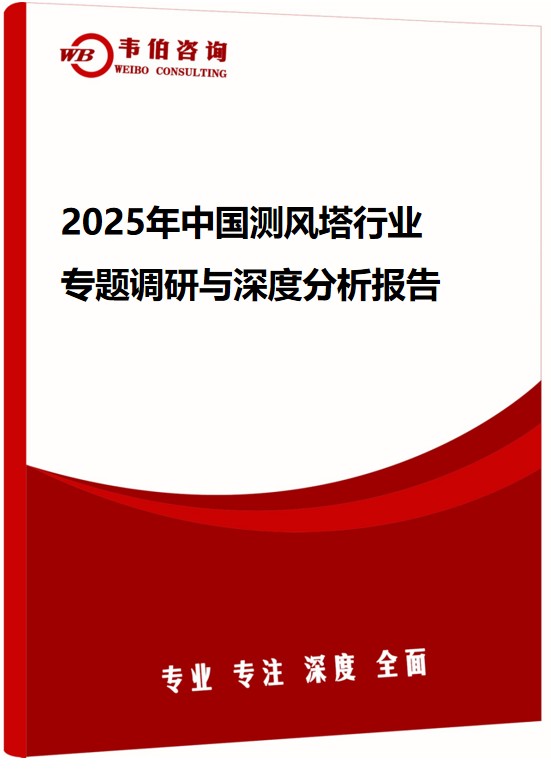 2025年中国测风塔行业专题调研与深度分析报告
