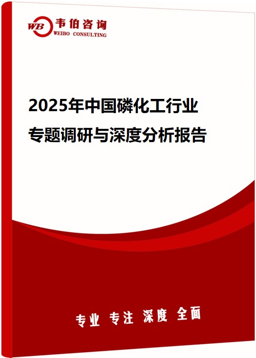 2025年中国磷化工行业专题调研与深度分析报告
