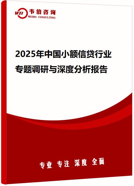 2025年中国小额信贷行业专题调研与深度分析报告