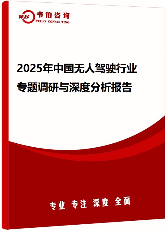 2025年中国无人驾驶行业专题调研与深度分析报告