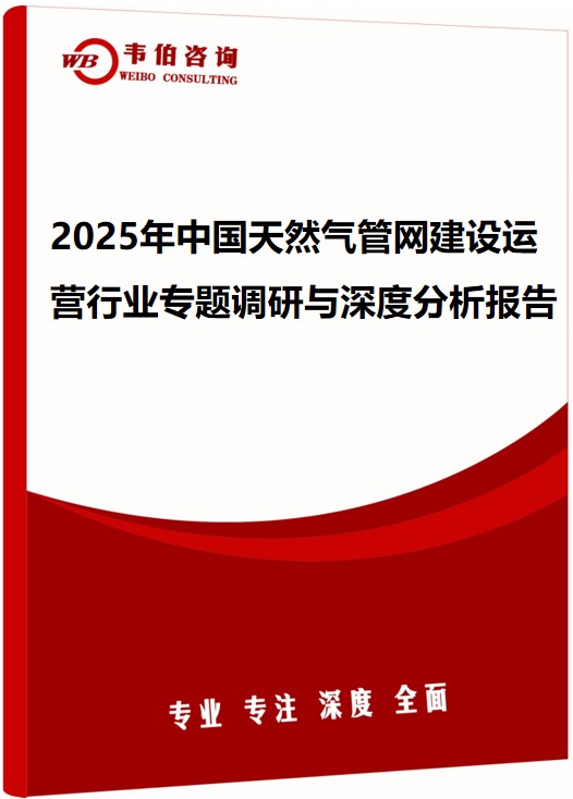 2025年中国天然气管网建设运营行业专题调研与深度分析报告