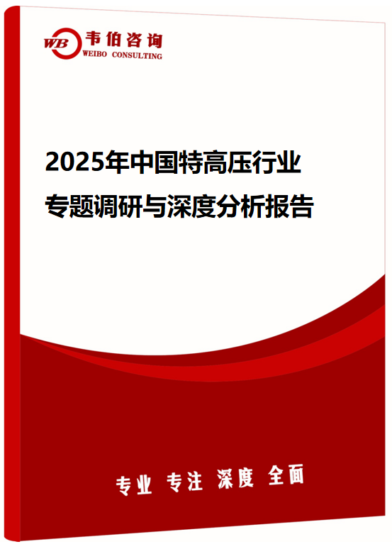 2025年中国特高压行业专题调研与深度分析报告