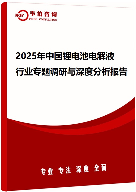 2025年中国锂电池电解液行业专题调研与深度分析报告