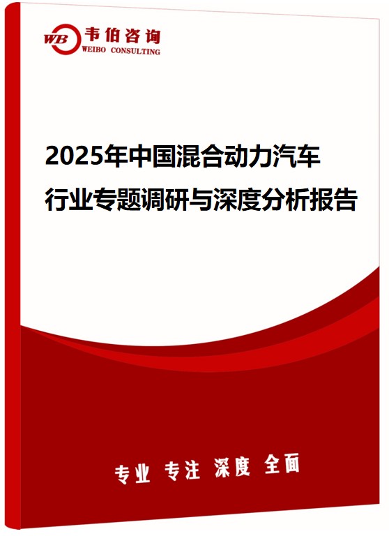 2025年中国混合动力汽车行业专题调研与深度分析报告