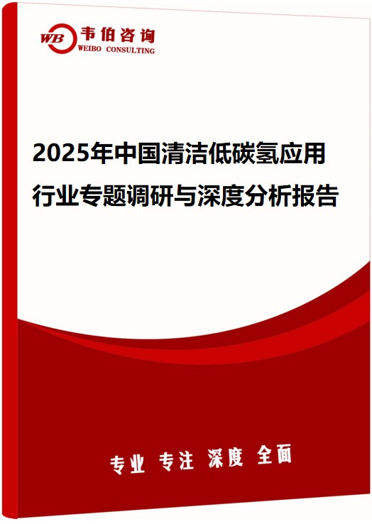 2025年中国清洁低碳氢应用行业专题调研与深度分析报告