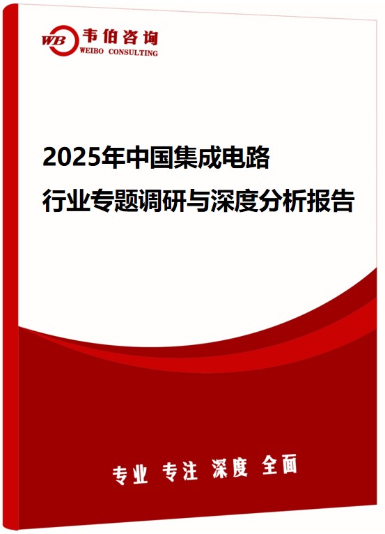 2025年中国集成电路行业专题调研与深度分析报告