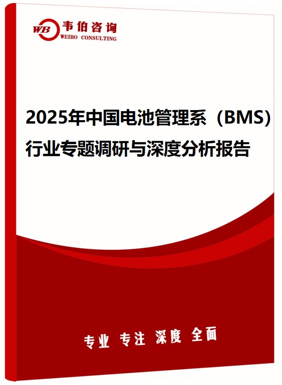 2025年中国电池管理系统（BMS）行业专题调研与深度分析报告