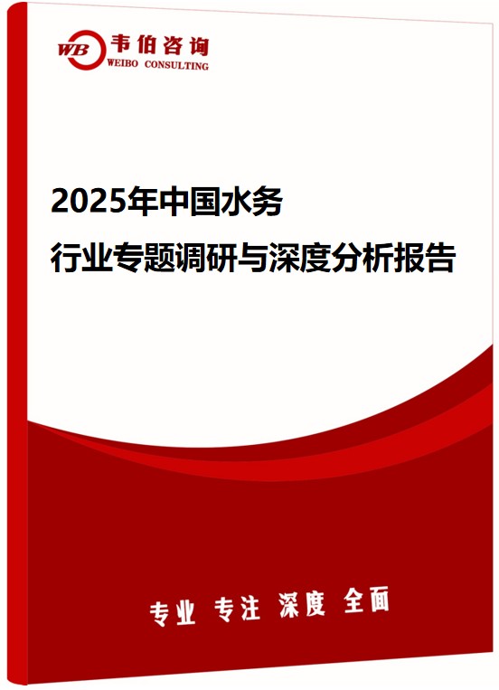 2025年中国水务行业专题调研与深度分析报告