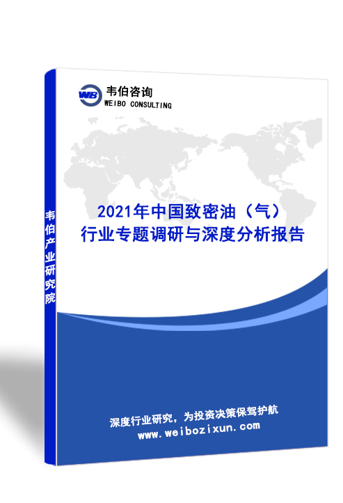 2021年中国致密油（气）行业专题调研与深度分析报告
