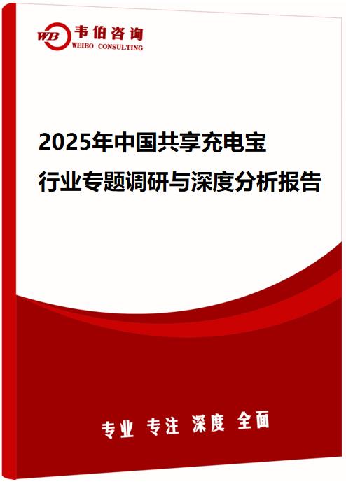 2025年中国共享充电宝行业专题调研与深度分析报告