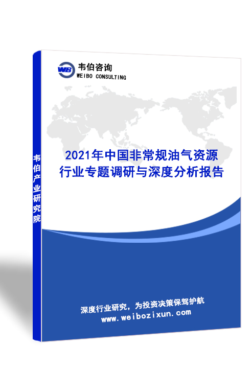 2021年中国非常规油气资源行业专题调研与深度分析报告