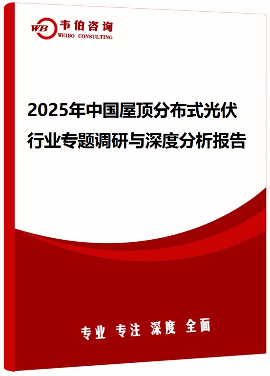 2025年中国屋顶分布式光伏行业专题调研与深度分析报告